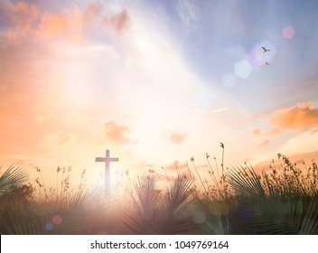 Religious concept: Silhouette cross with palm leaves over meadow autumn sunset background