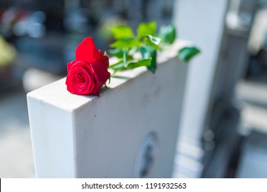 Religious tradition to put one flower in memory, of the grave in the cemetery, tragedy and sorrow for the loss of a loved one. Red rose was left on gravestone in the graveyard