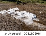 Remaining patch of melting snow in Mt Rainier National Park in Washington State USA