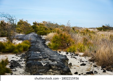 Remains of the Baltimore Boulevard in the Dunes of the Beach of Assateague Island,Virginia, USA