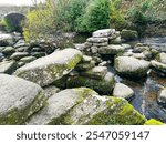 The remains of a Clapper Bridge on the Dart River at Dartmeet. The force of the river in full flood has taken some of the huge stones down into the streambed.