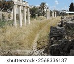 Remains of the columns of the Gymnasion on Kos in contrast with modern architecture