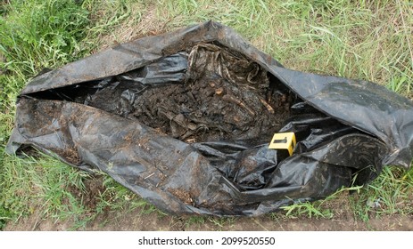 Remains of a decomposed human body in a black sanitary body bag.