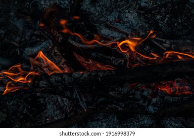 Remains from fire. Arson or natural disaster. Burning tree branches, hot red-orange coals from burnt wood. Bonfire background, close-up background, selective focus