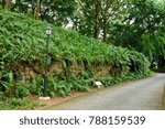 Remains of fort walls at Fort Canning in Singapore. 