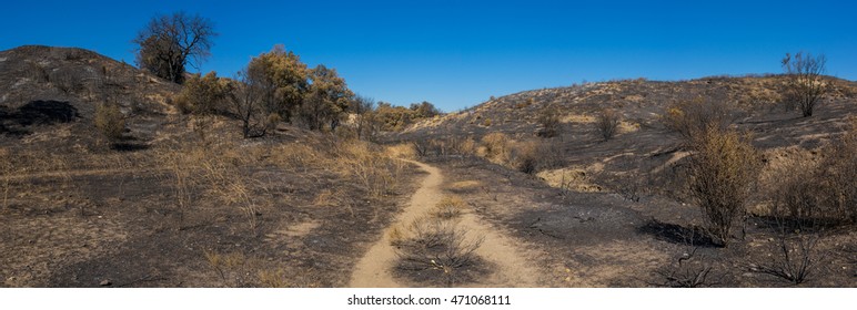 Remains Of A Hiking Trail In The Burned Wilderness Near Santa Clarita In Southern California.