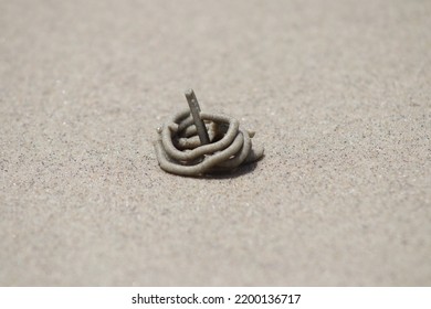 Remains Of A Marine Worm Left In The Sand Of A Beach