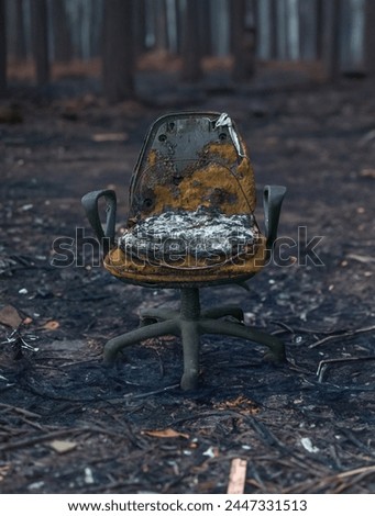The Remains Of An Office Chair After A Forest Fire In California