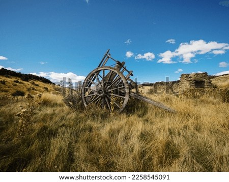 Remains of old historical traditional wooden wheel cart, agriculture farming tool in high grass at Bendigo settlement in Central Otago South Island New Zealand
