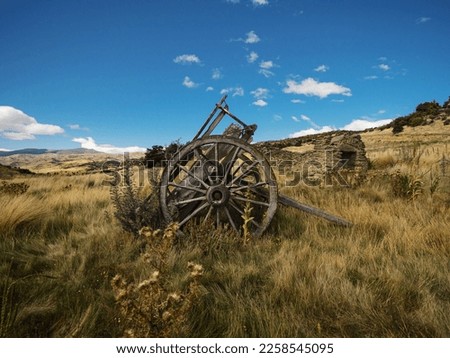 Remains of old historical traditional wooden wheel cart, agriculture farming tool in high grass at Bendigo settlement in Central Otago South Island New Zealand