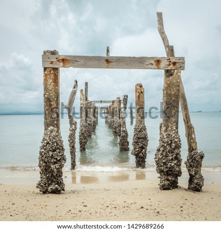 Similar – Image, Stock Photo Weathering Remains Poster