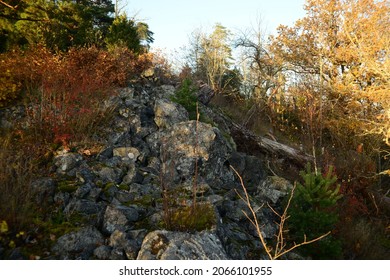 
Remains Of A Stone Wall From Hillfort Vista Kulle .This Hillfort Is Ona Av Tree I Smaland.Fire Craced Stones In Vall Indicate There Vas A Fire In What Vas Presumably A Wooden Palisade.