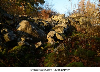 
Remains Of A Stone Wall From Hillfort Vista Kulle .This Hillfort Is Ona Av Tree I Smaland.Fire Craced Stones In Vall Indicate There Vas A Fire In What Vas Presumably A Wooden Palisade.