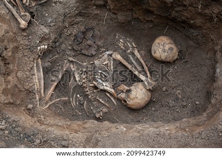 The remains of two people were found in the ground. Skulls and bones lie in the same grave. An old crime, a sanitary burial or an echo of war.