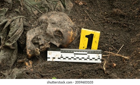 The remains of an unidentified dead man in camouflage clothing were found by the police at the crime scene. With rulers and markers for defining the size of the object. 