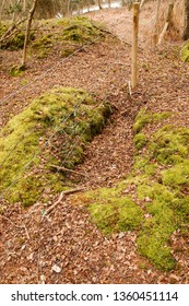 The Remains Of A WW2 Trench, Built As Part Of The Dorset (UK) Coastal Invasion Defenses At Studland Bay.