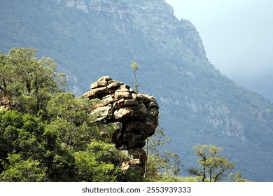 A remarkable display of resilience, this lone tree grows steadfastly on a rugged rocky outcrop, defying the odds and showcasing the strength of nature. Set against the backdrop of Blyde River Canyon - Powered by Shutterstock