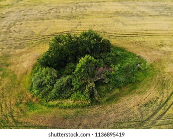 A remarkable surface with bushes shot on a quadrocopter, various textures of fields.