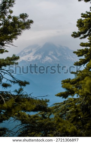 I remember this was my first time using my camera on our road trip to mt Rainier 