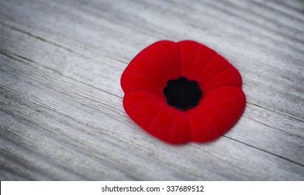 Remembrance Day Poppy