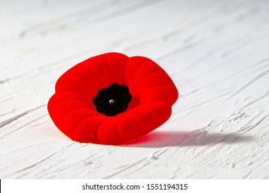 Remembrance Day Poppy Flower With A Shadow