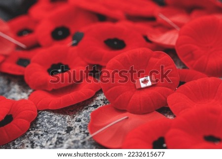 Remembrance Day red poppy flowers on Tomb of the Unknown Soldier in Ottawa, Canada