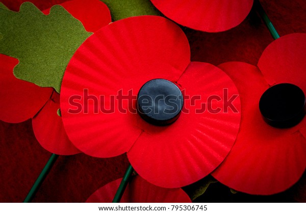 Remembrance day in the UK and\
salute to veterans of the armed forces concept with a close up on a\
group of Remembrance poppies and one poppy in the center of the\
image