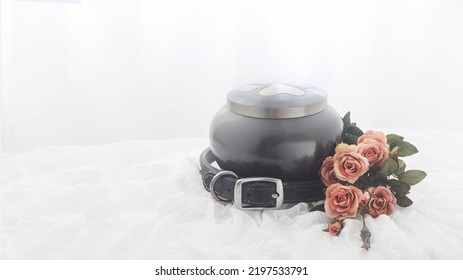 In Remembrance Of A Pet. Bouquet Of Pink Roses Beside An Urn Filled With Ashes Of A Dog Isolated On A White Background.