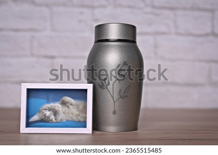 In remembrance of a pet. Decorative urn , next to a photograph of the pet on the table. Horizontal image.