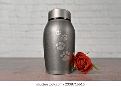 In remembrance of a pet. Pet urn beside a red rose.