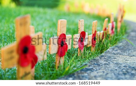 Remembrance Poppies on wooden crosses 