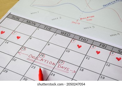 Reminder Menstrual Period And Probable Ovulation Days In Calendar With Hand Drawn Female Menstrual Cycle Diagram. Selective Focus.