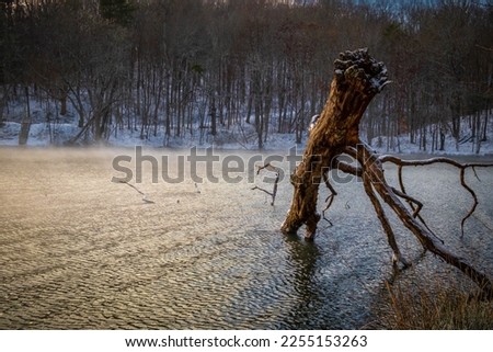 Remnants of a fallen tree acutely protrude from the frigid water in a winter landscape. Grundy Lakes of the South Cumberland State Park system in Tennessee.