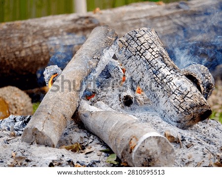 Remnants of the fallen trees need to be removed. Burning them makes a slow disposal method. But it makes a beautiful scene as it does.