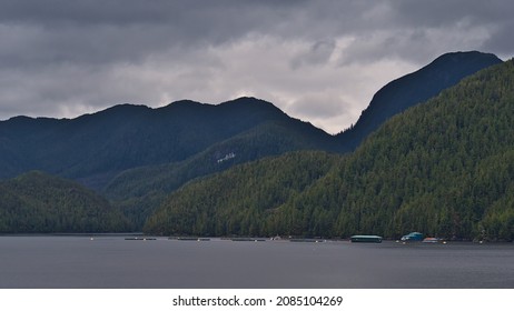 Remote Aquaculture Facilities On The Shore Of Princess Royal Island In Front Of Rugged Tree-covered Mountains Near Inside Passage In British Columbia, Canada On Cloudy Day In Autumn Season.