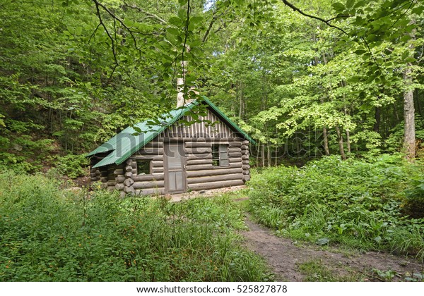 Remote Cabin Forest Porcupine Mountains State Stock Photo Edit