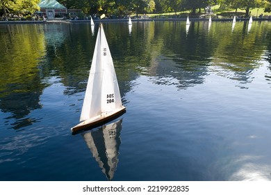 Remote Control Toy Boat In The Pond