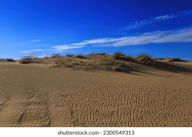Remote desert landscape with sparse vegetation and white clouds