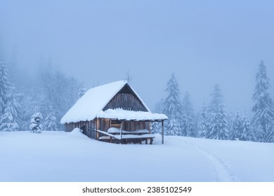 A remote mountain cabin amidst a snowy grove of fir trees on a forested plateau in the wintertime. Christmas holiday and winter vacations concept - Powered by Shutterstock