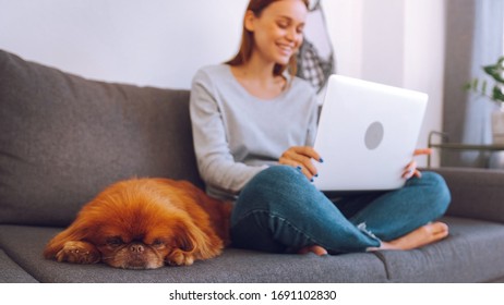 Remote Online Work From Home. Blonde Sitting On A Gray Sofa At A Laptop. Girl In A Gray Sweater And Jeans. The Dog Lies Near The Girl On The Sofa. String Bag On A White Wall. Study At Home