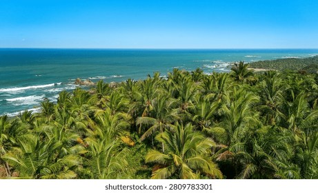 Remote palm beach with ocean waves and lush greenery, symbolizing quiet summer escape, freedom, and untouched paradise.