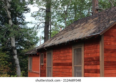 Remote rustic cabin with pine needles on roof at a campground in the woods.