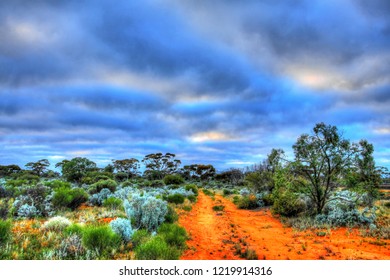 Remote Track In Australian Bush