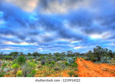 Remote Track In Australian Bush