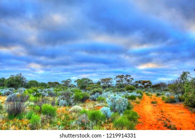 Remote Track In Australian Bush