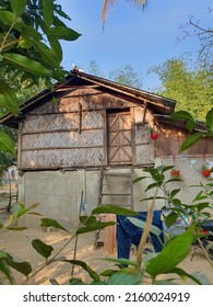 A remote village wooden house from the hill area of Bangladesh with few plants around it. Wooden house from the remote village