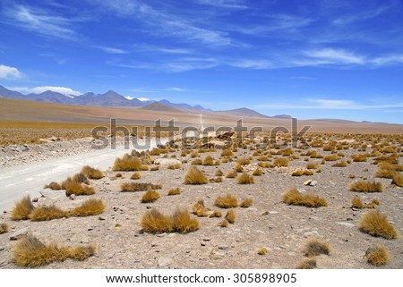 Similar – Aconcagua Trekking Hiking