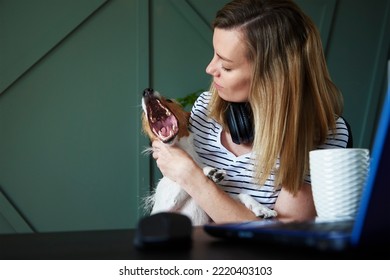 Remote Work From Home Office. Woman At Worklace With Her Dog. Female Freelancer Using Laptop At Living Room. Remote Work