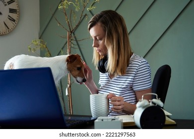 Remote Work From Home Office. Woman At Worklace With Her Dog. Female Freelancer Using Laptop At Living Room. Remote Work