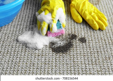 removal of stains from the carpet
